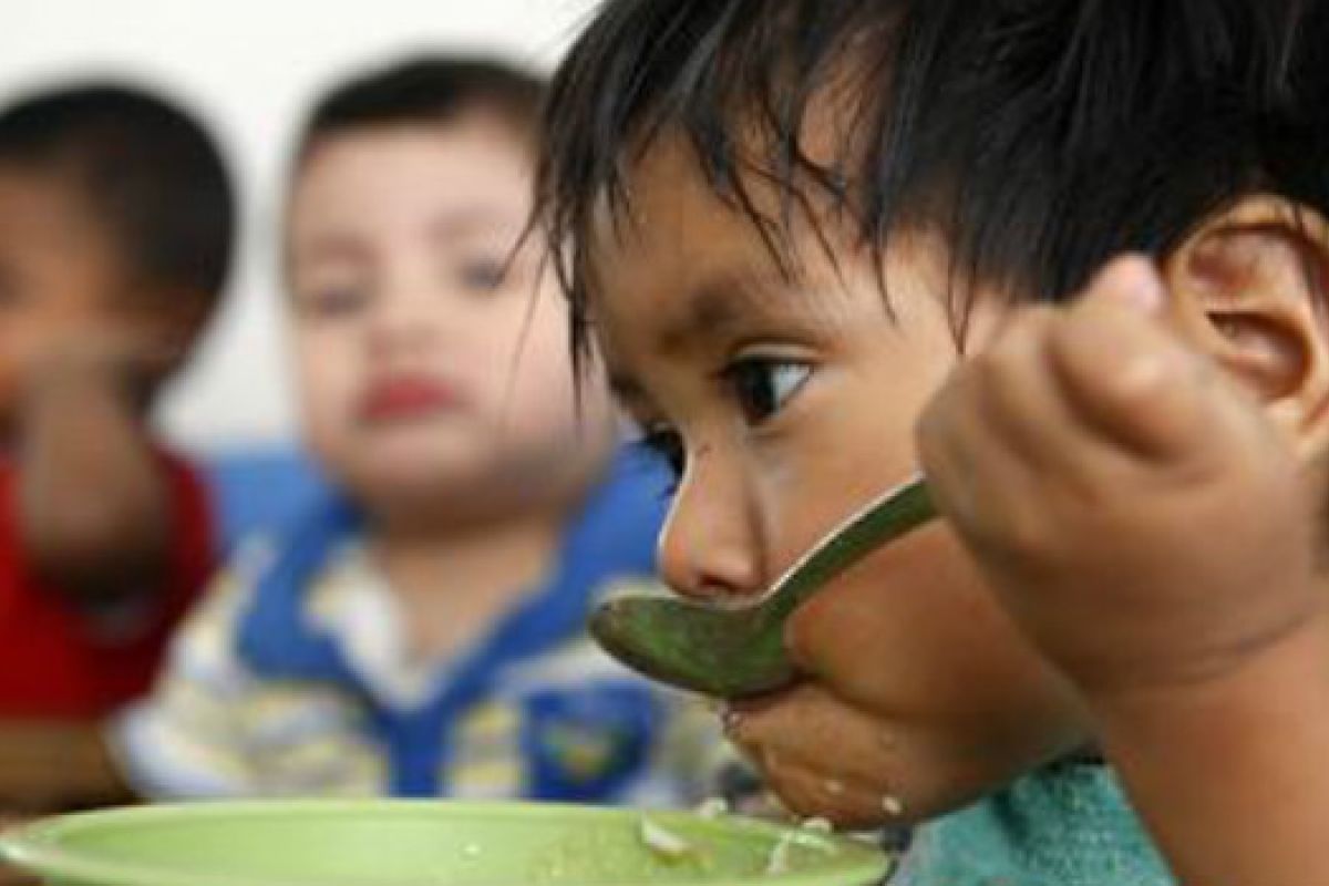 7.2% de los niños mexicanos entre 5 y 14 años sufren desnutrición crónica en la zonas urbanas, el doble en las comunidades rurales. 7.2% de los niños mexicanos entre 5 y 14 años sufren desnutrición crónica en la zonas urbanas, el doble en las comunidades rurales.