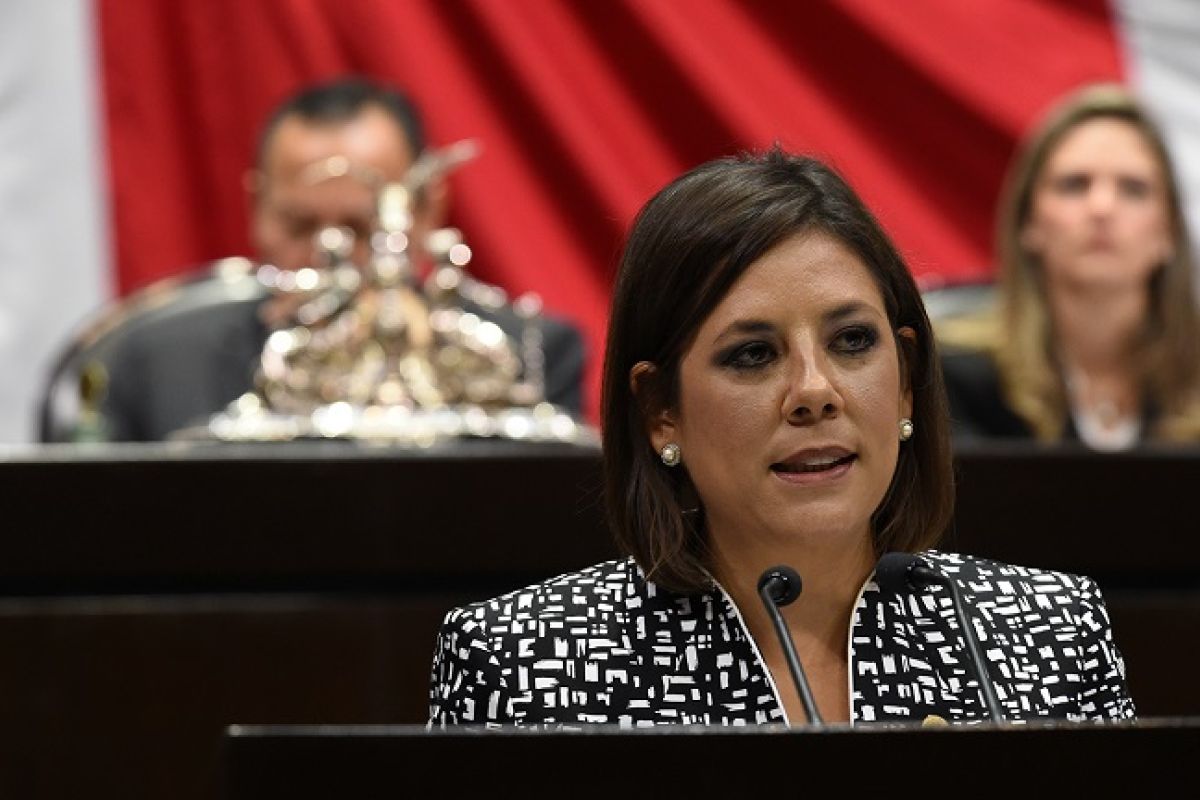 La diputada Gina Andrea Cruz encabeza la Comisión de Hacienda y los cambios propuestos que se discutirán en el pleno. La diputada Gina Andrea Cruz encabeza la Comisión de Hacienda y los cambios propuestos que se discutirán en el pleno.