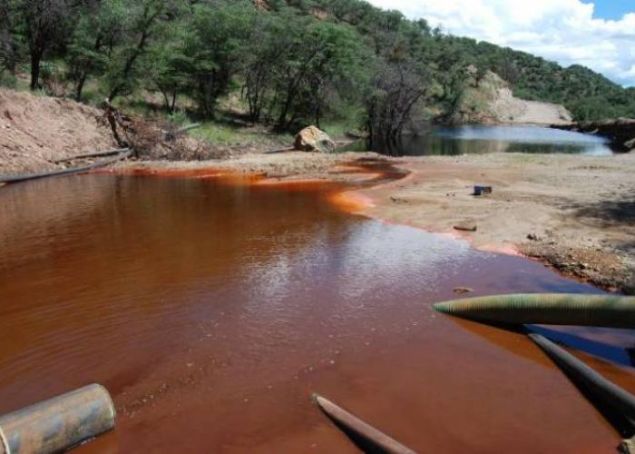 Si la empresa no hubiera tenido que hacerse responsable del daño social y ecológico la reducción en las utilidades habría sido sólo del 7.4% anual de octubre a marzo.