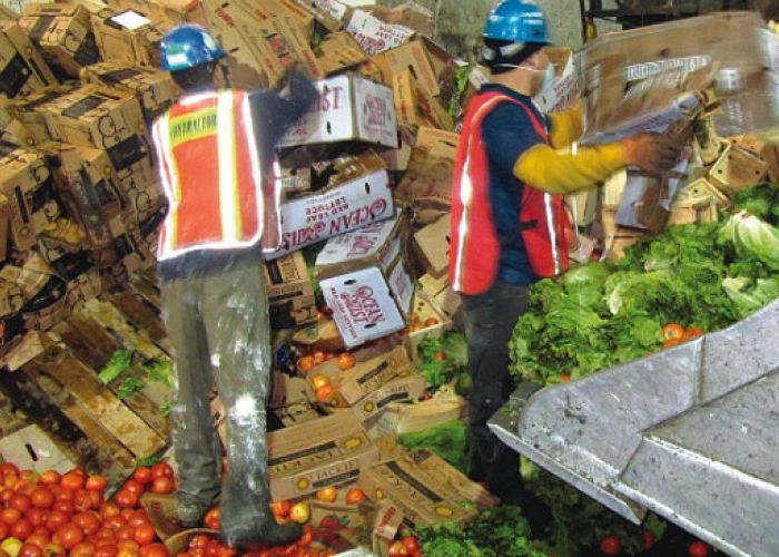 En México, se desperdicia casi el 40% de los alimentos producidos en México 