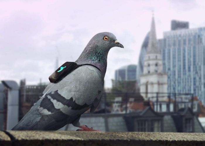 Proyecto de innovación con dispositivo inteligente para poner en evidencia el problema de calidad del aire en Londres