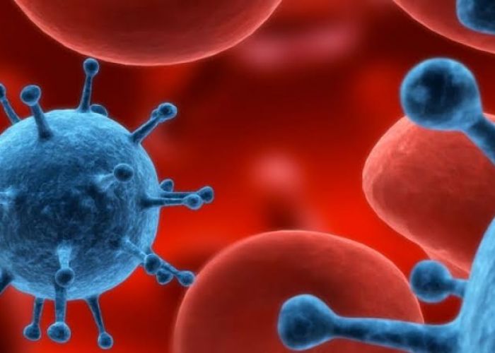 Científicos no descartan que en el futuro cercano se encuentre una cura definitiva para las más de 35 millones de personas infectadas con el VIH.