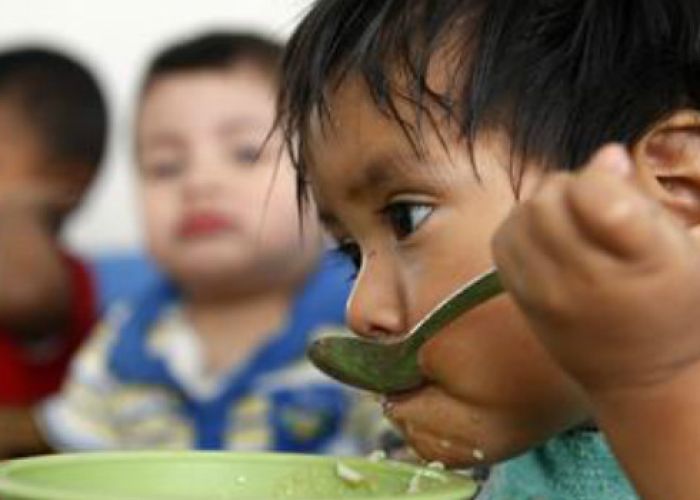 7.2% de los niños mexicanos entre 5 y 14 años sufren desnutrición crónica en la zonas urbanas, el doble en las comunidades rurales.