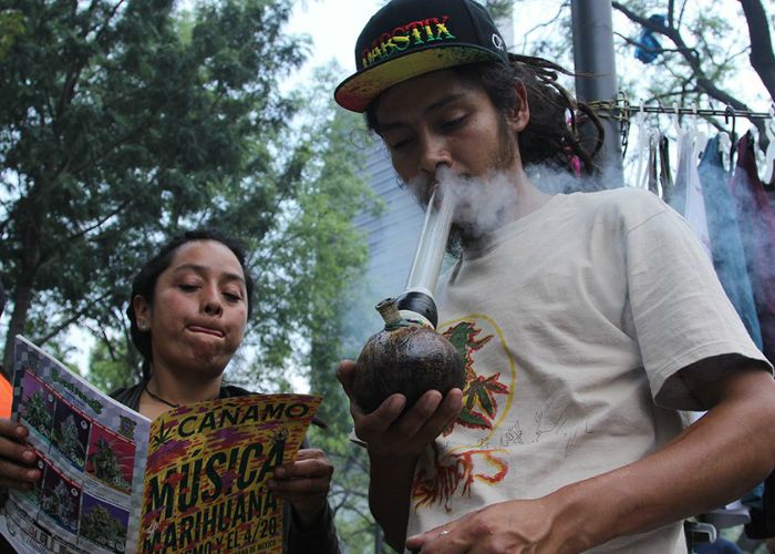 8.6 de los mexicanos han consumido mariguana, al menos una vez en su vida.