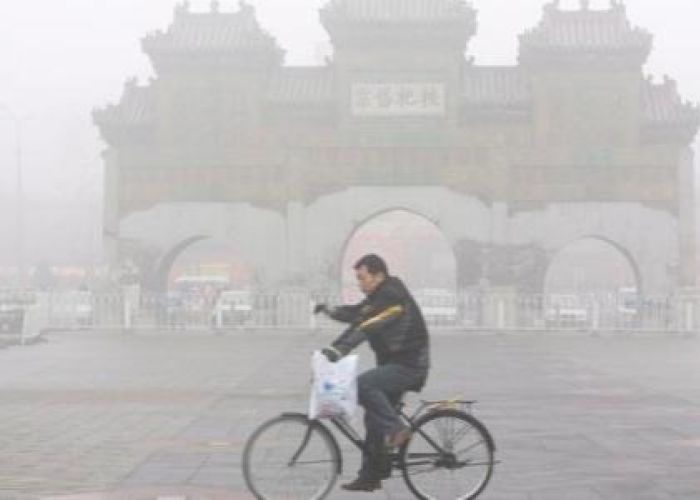 China está haciendo importantes esfuerzos económicos para transitar a una economía verde.