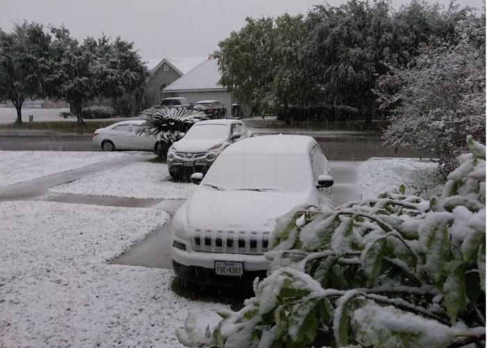 Nieve en Piedras Nieves, Coahuila. Foto: Nieve en Coahuila/Twitter @FerCanalesF
