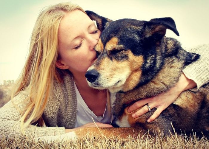 Besar a tu perro puede matarte. El Dr. Masahiko Nakamura realizó una investigación en donde demuestra los daños que provoca besar a tus mascotas en la boca.