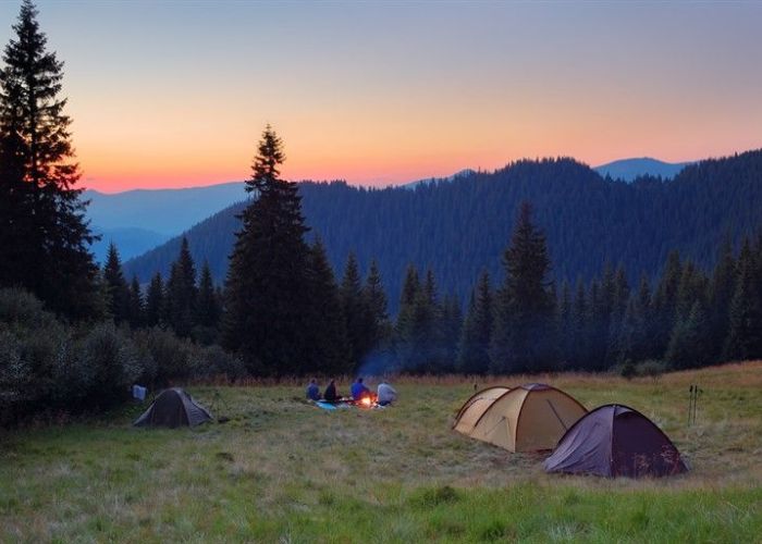 Un bosque ofrece experiencias inolvidables para acampar