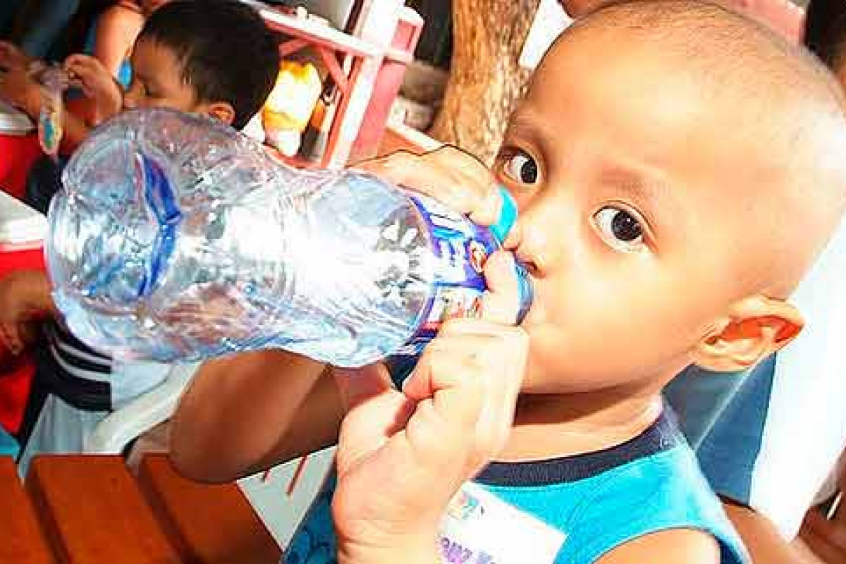 La sobrevivencia en cáncer infantil es menor a 45%, incluso llega a 17%, en estados como Campeche, Tabasco, Colima, Chiapas y Veracruz. La sobrevivencia en cáncer infantil es menor a 45%, incluso llega a 17%, en estados como Campeche, Tabasco, Colima, Chiapas y Veracruz.