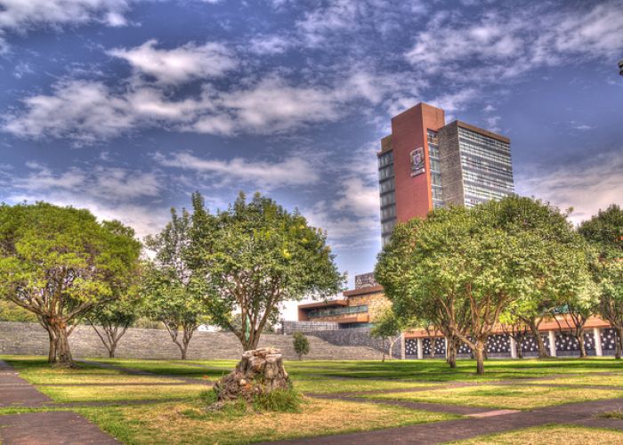 Alumnos, profesores, trabajadores y autoridades de la UNAM conocen los lugares donde diversos delitos se cometen con regularidad. 