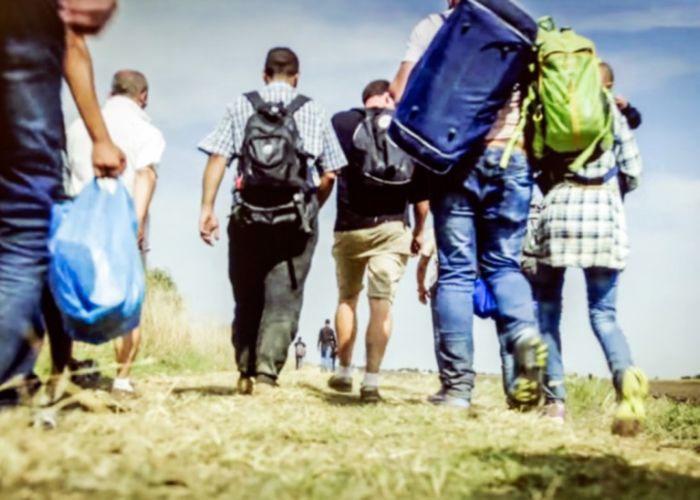 Agentes de la patrulla fronteriza de EU dicen que la mayoría de los adultos que detienen, ingresan para buscar trabajo recogiendo frutas y verduras, techar y lavar platos (Foto: Senado de la República)