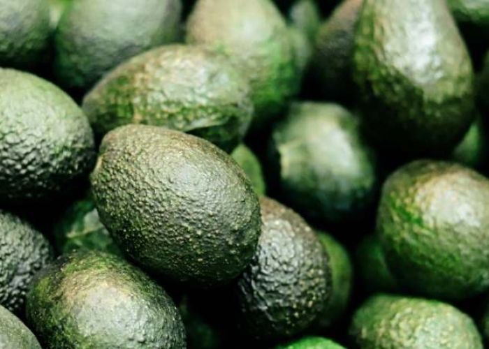 El aguacate es el tercer producto de importación más importante de México. 