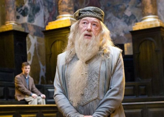 Michael Gambon como Albus Dumbledore